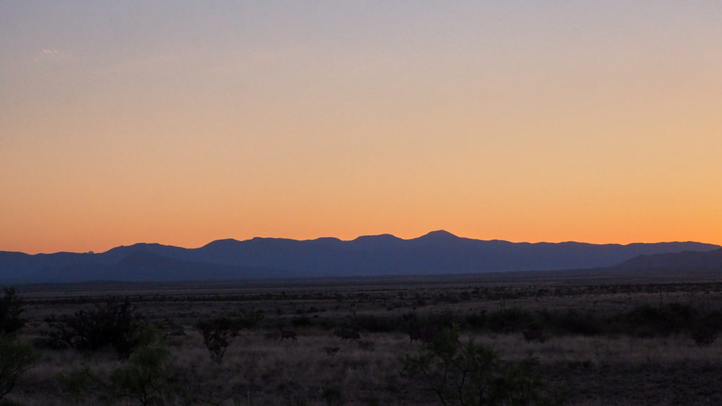 Others do otherwise / Maybe —W. S. Merwin