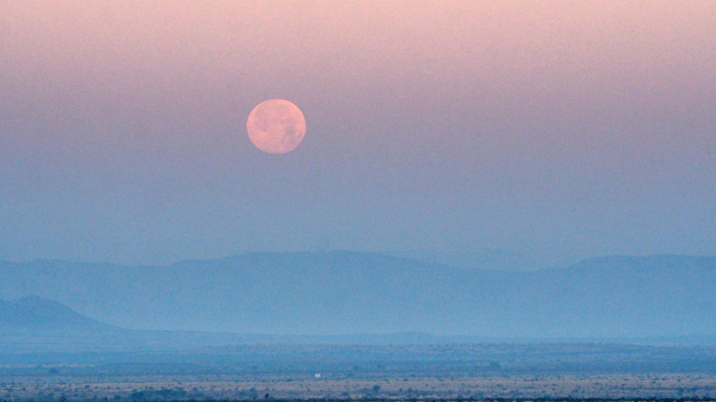 and went out into the morning, / and sang. —Mary Oliver