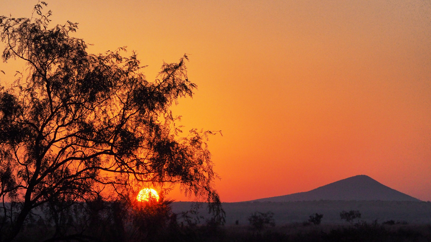 Slow inch / by inch America is giving itself