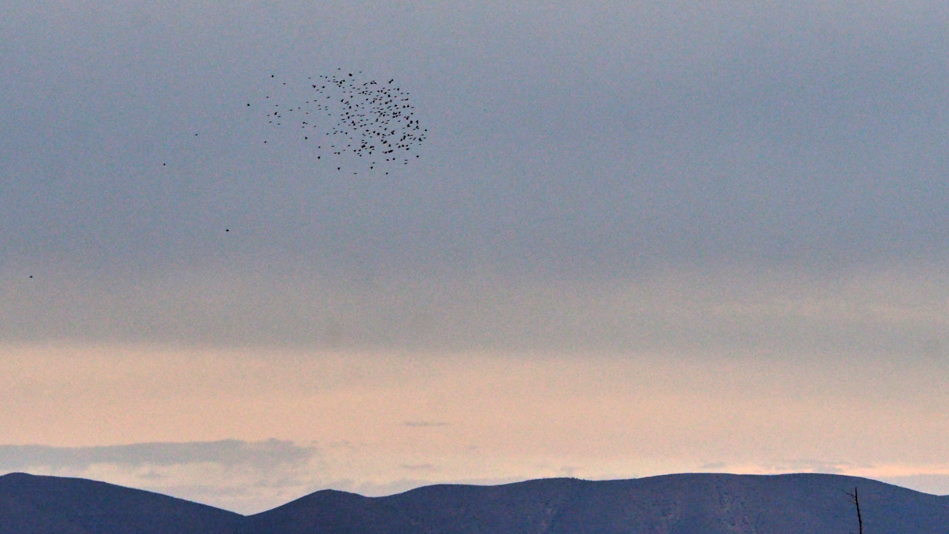Then bending from the Sky —