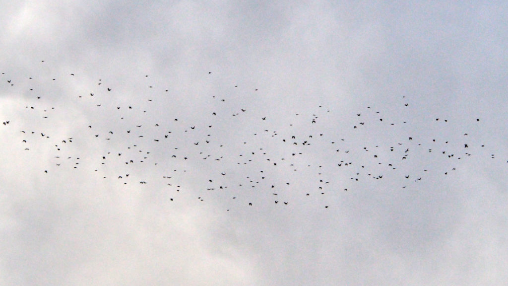 And infiniter Care —