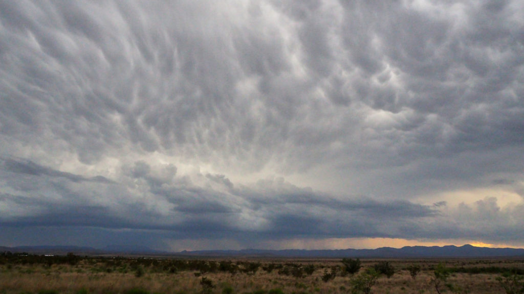 I swear she cast a shadow white as stone.