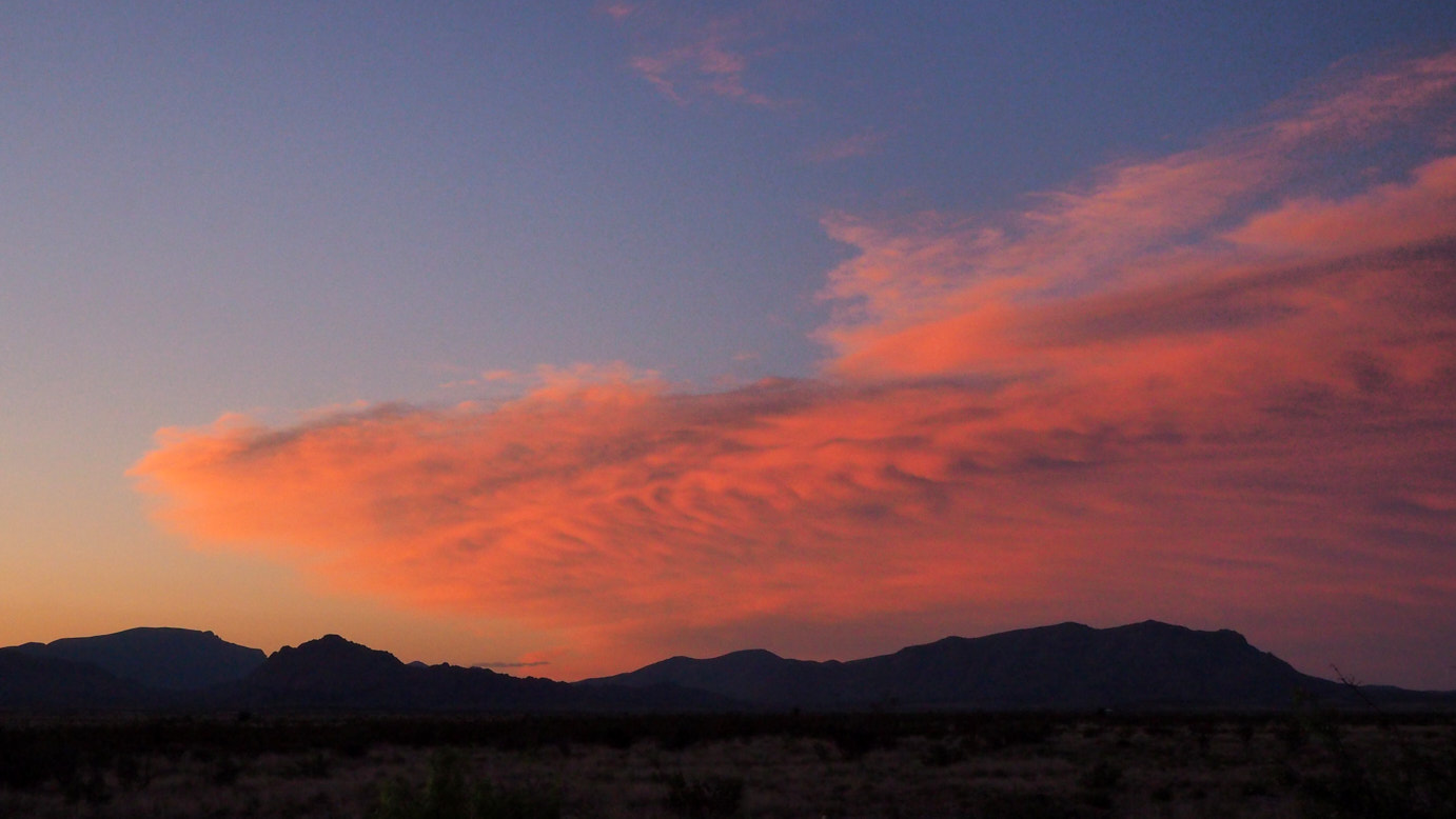 I thought if only we could go on