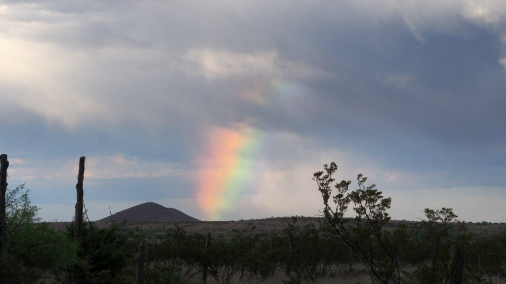 blood. You can whisper also,