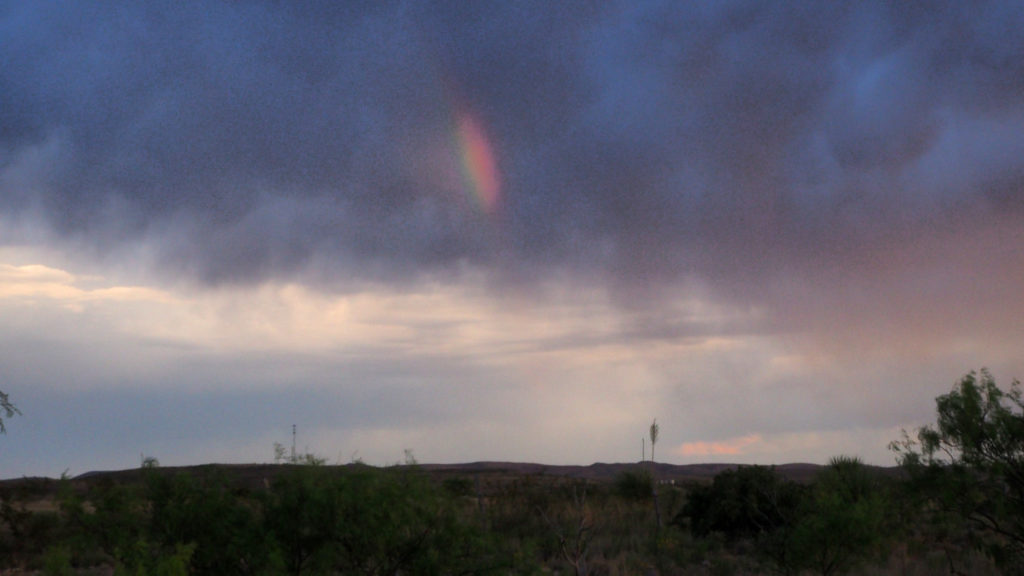 Remember, remember. —Grace Paley