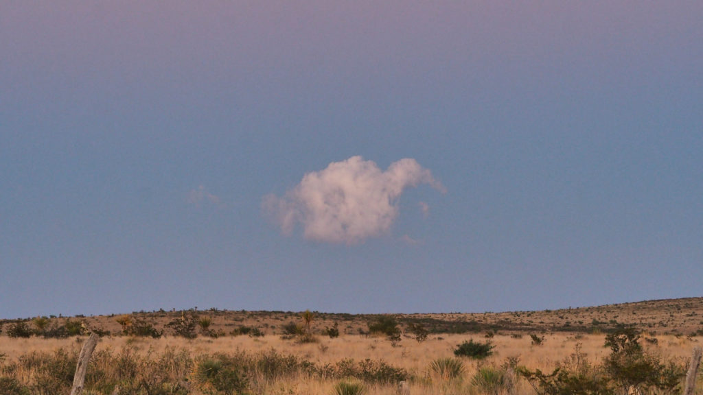 I carry light and silence. —Anna Swir