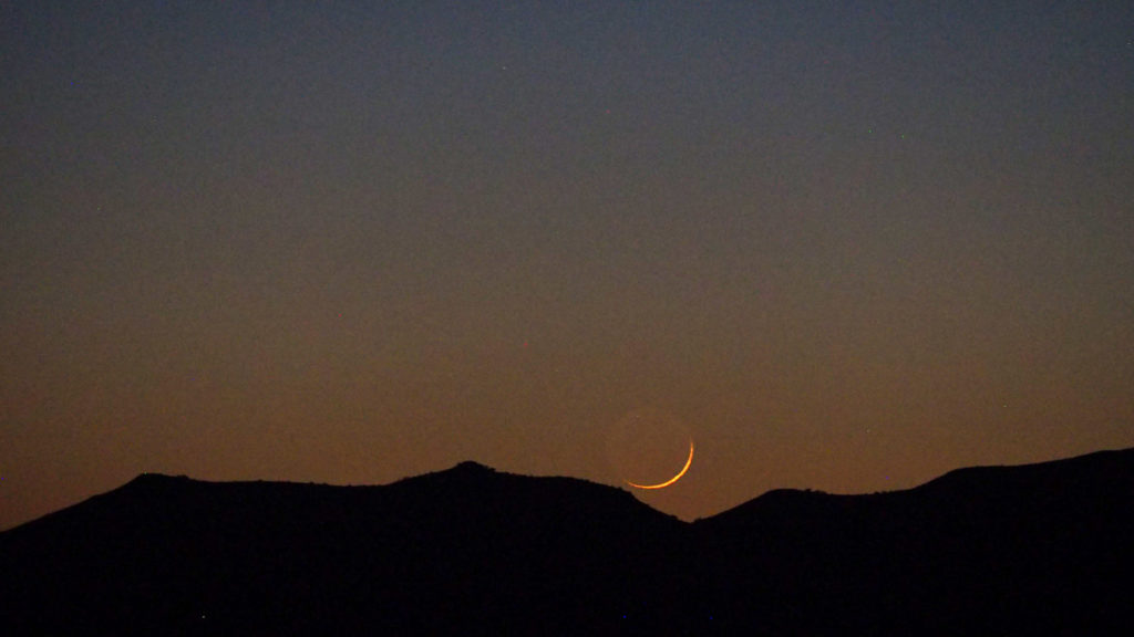 in the soft, bottomless mud. —Lisel Mueller