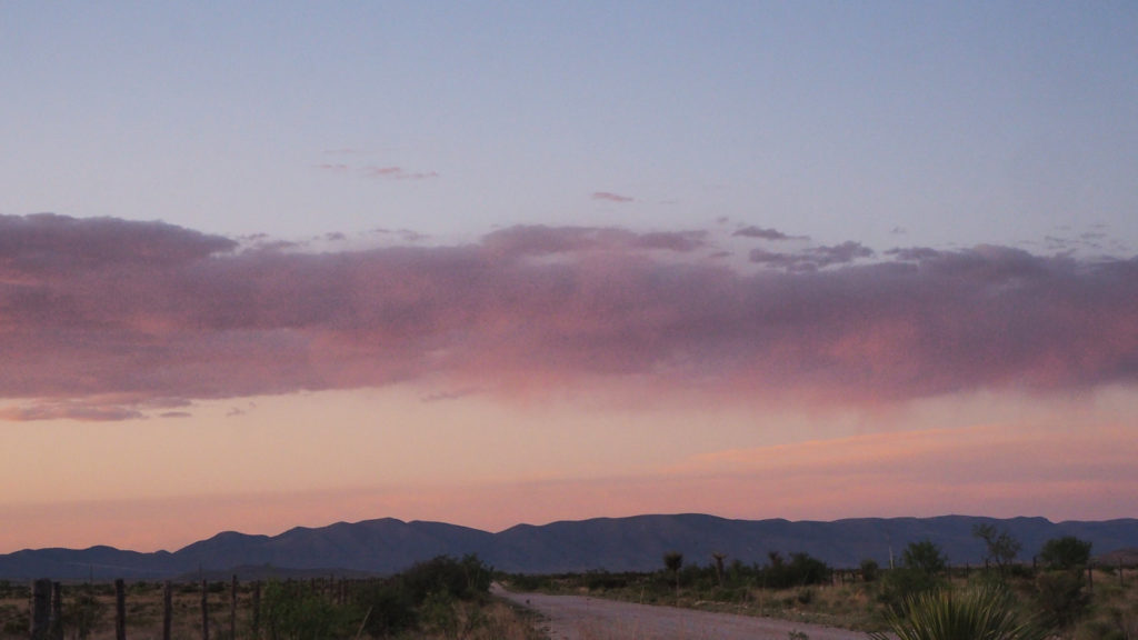 reaching like stars almost but never quite