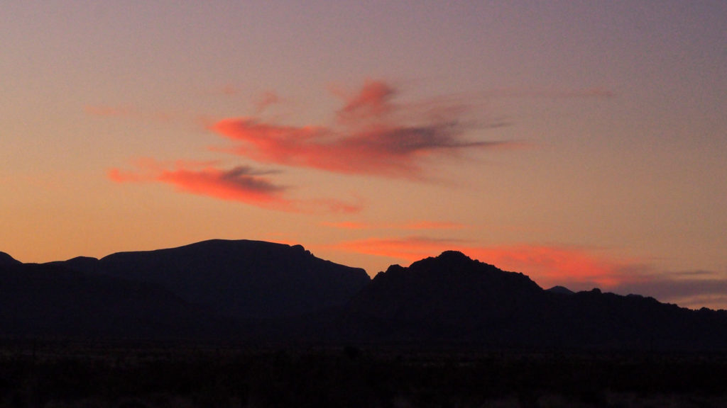 we are “trying” at all. We must above all try not to worry. —Suzanne Buffam