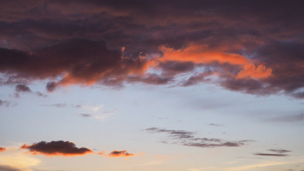 In a Hammock at William Duffy’s Farm in Pine Island,