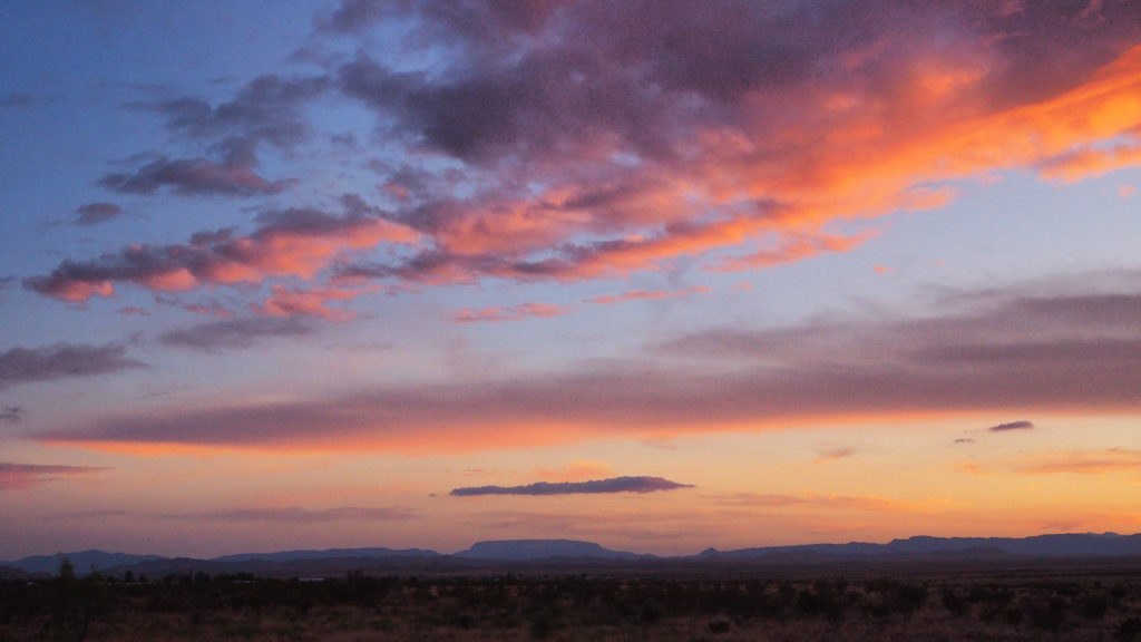 Minnesota,” saying ”I have wasted my life.” Ruth Stone ends