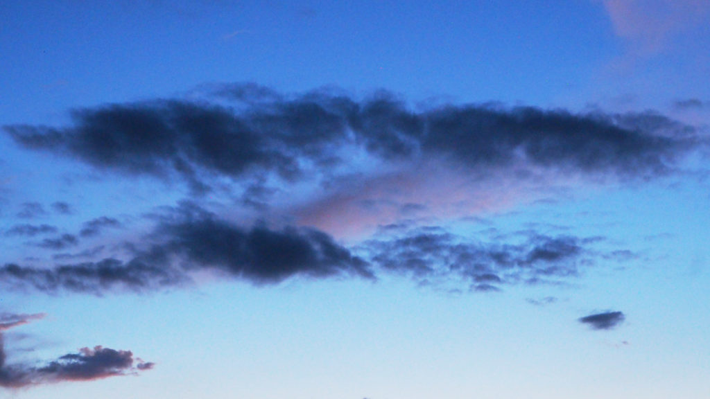 And the Feather of feeling —Etheridge Knight