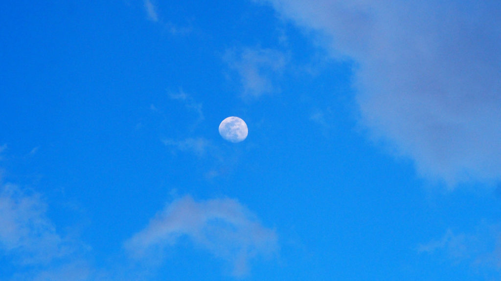 the ol West i bide my time. You should see