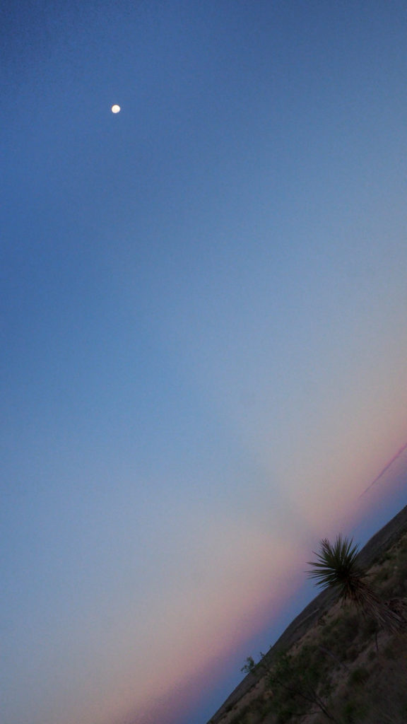 write the motown long plays for the comeback of