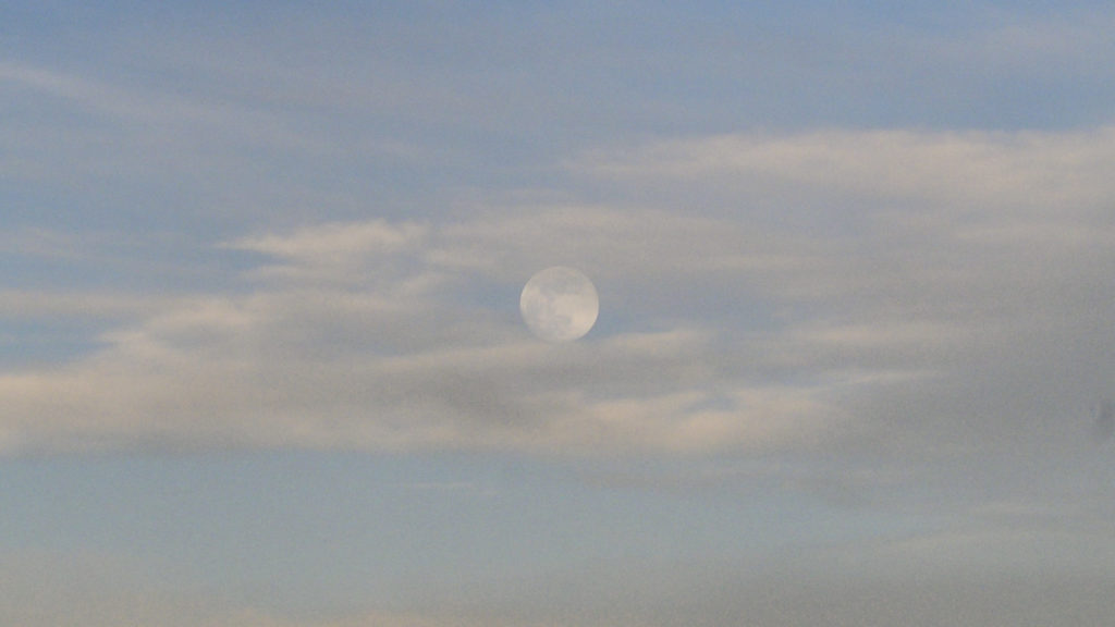 Watermirrors and things to be reflected.