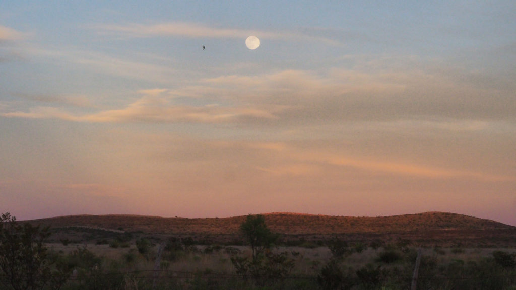 Goldenrod across the little lagoon.