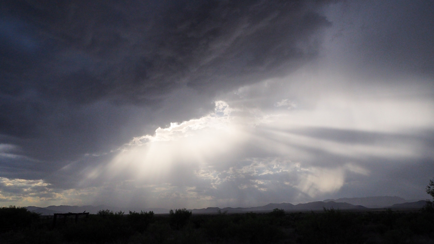 My god, / in the dark his eyes burned so clear