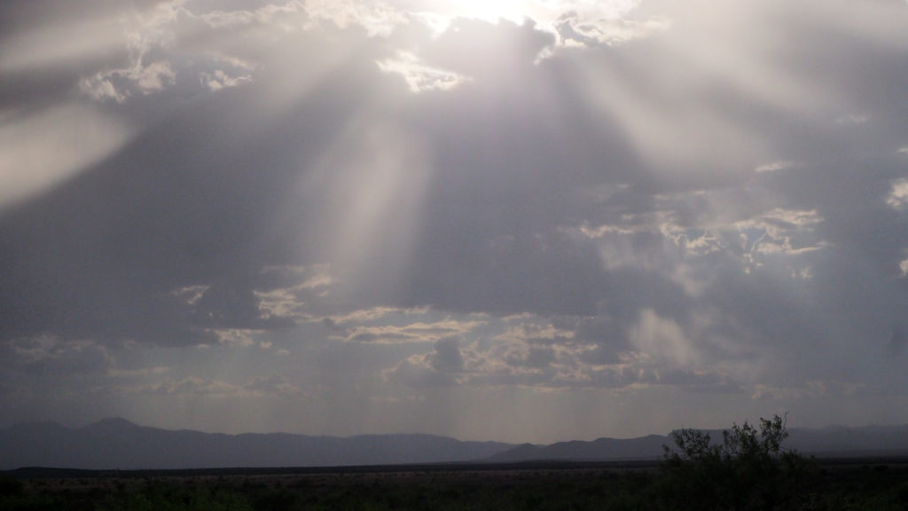 daring its hunter to aim. —Rachel Eliza Griffiths