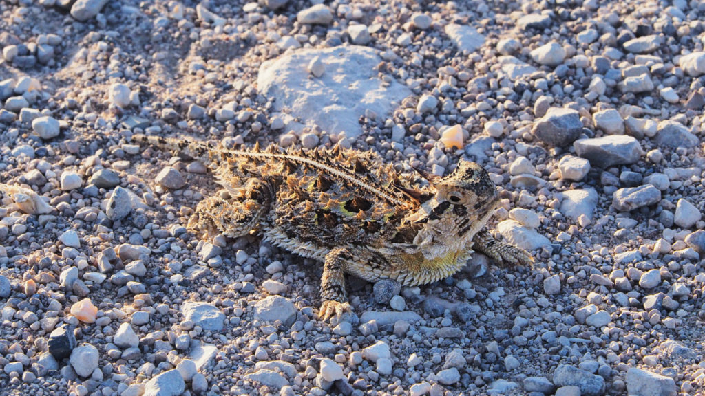 I want to be burned off by the sun.