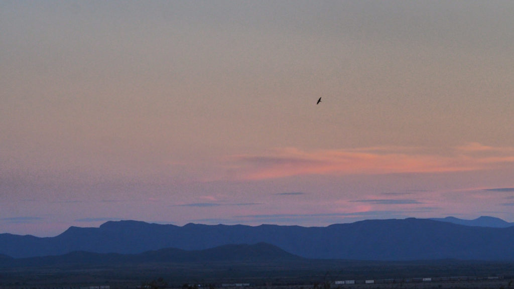 threads at last becoming original torn cloth —W. S. Merwin