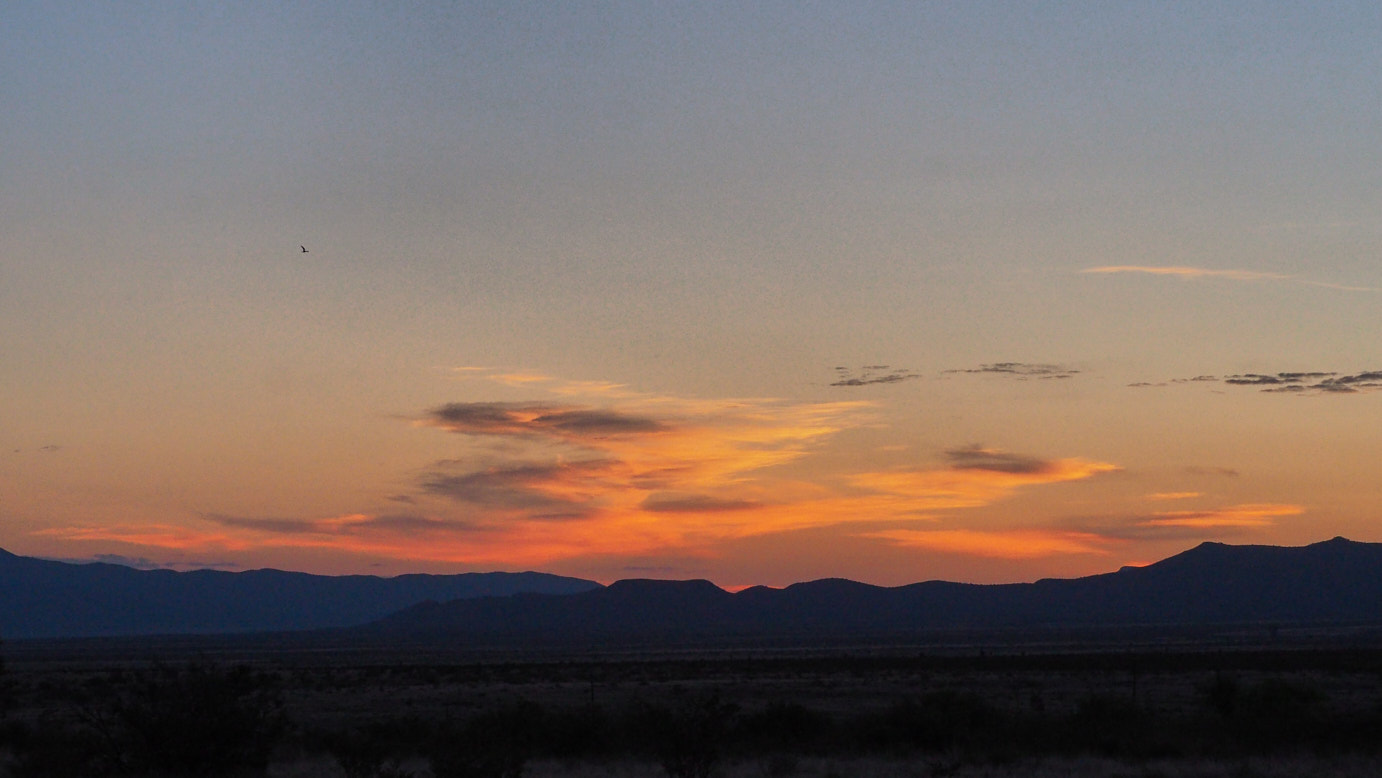 I am not afraid … of rough spots … or lonely times … I don’t