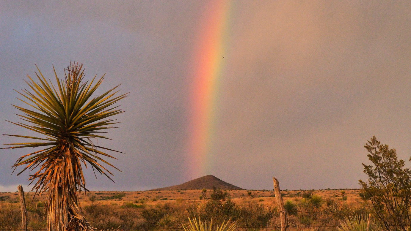 in summer I step outside