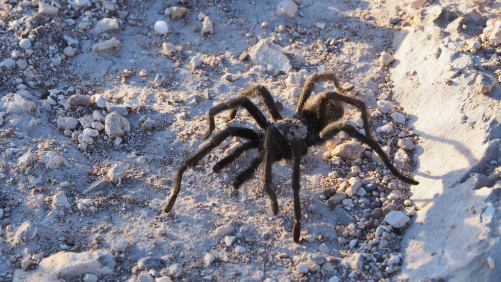 era of abbreviation, yes, I’m trying to make you