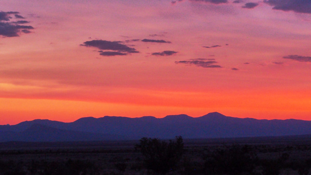 So they sprinted off, the precious fawns,