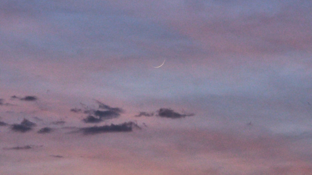 into the dark river with its wrist, its thirst.