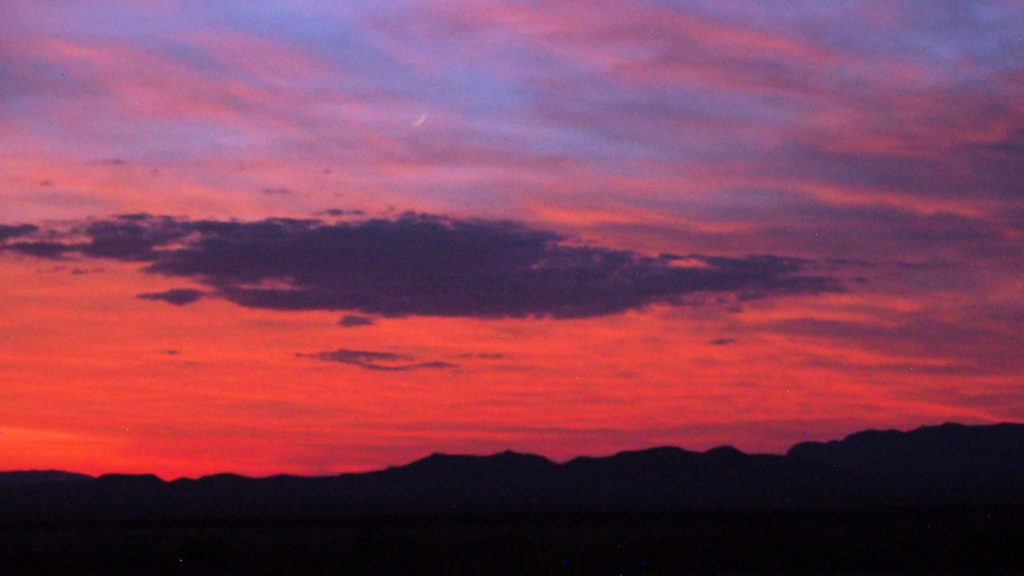 Its lust, its list, its amethyst. —Joyelle McSweeney