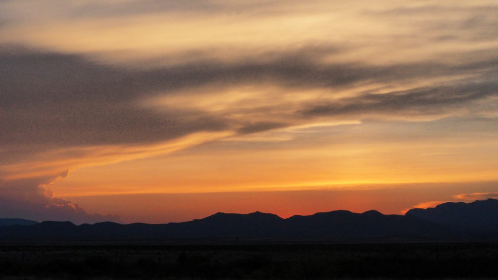 around in the world like one grateful fish