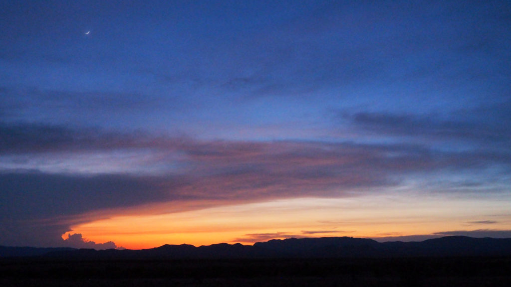 it has seen for ten-thousand years, —Ada Limón