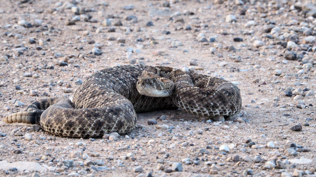 what would they wish not to see, could they stop seeing;