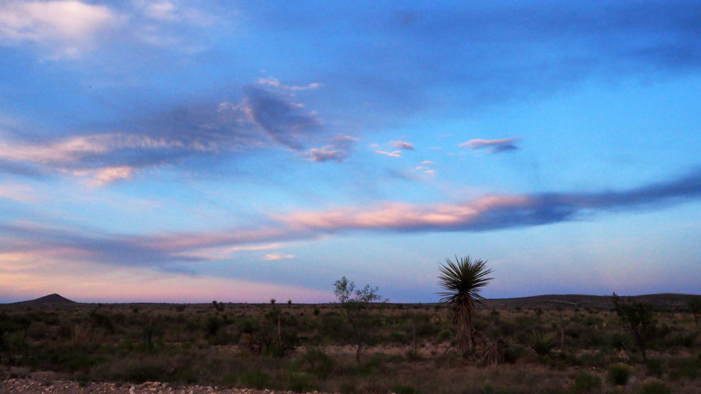 maybe all nerve is; the search-and-rescue map wildflowers —Carl Phillips