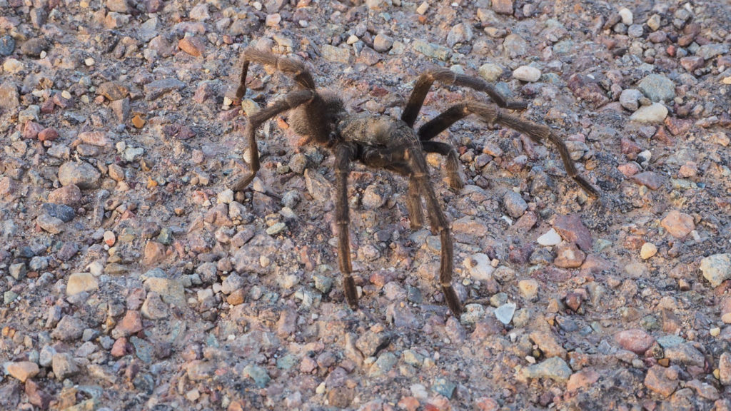 When done, should leave no trace