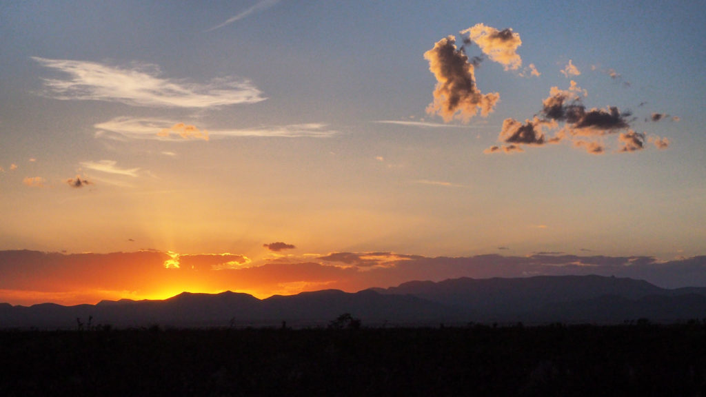 That it has lived, except a gleam