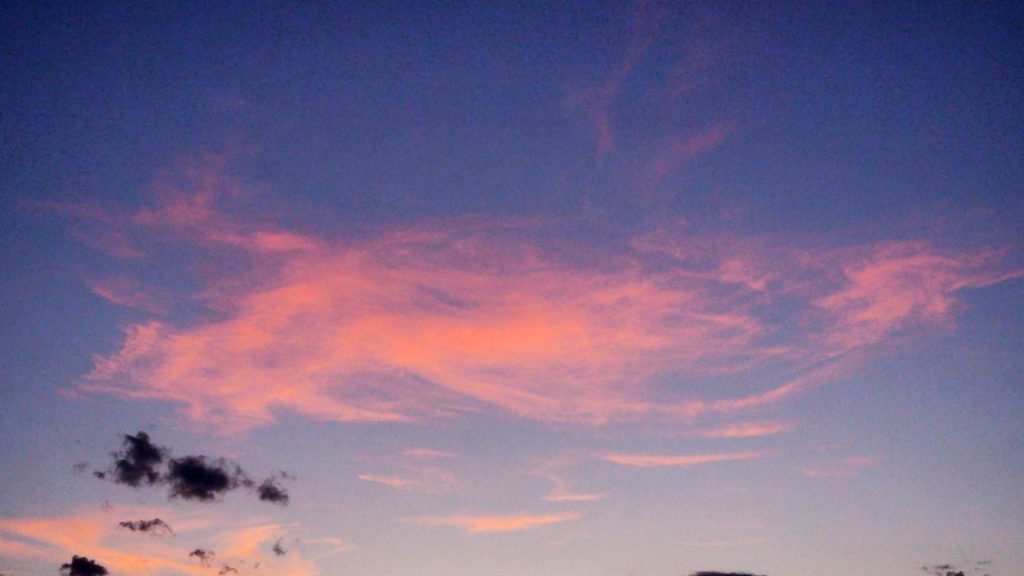 Across the dreamer’s face. —Countee Cullen