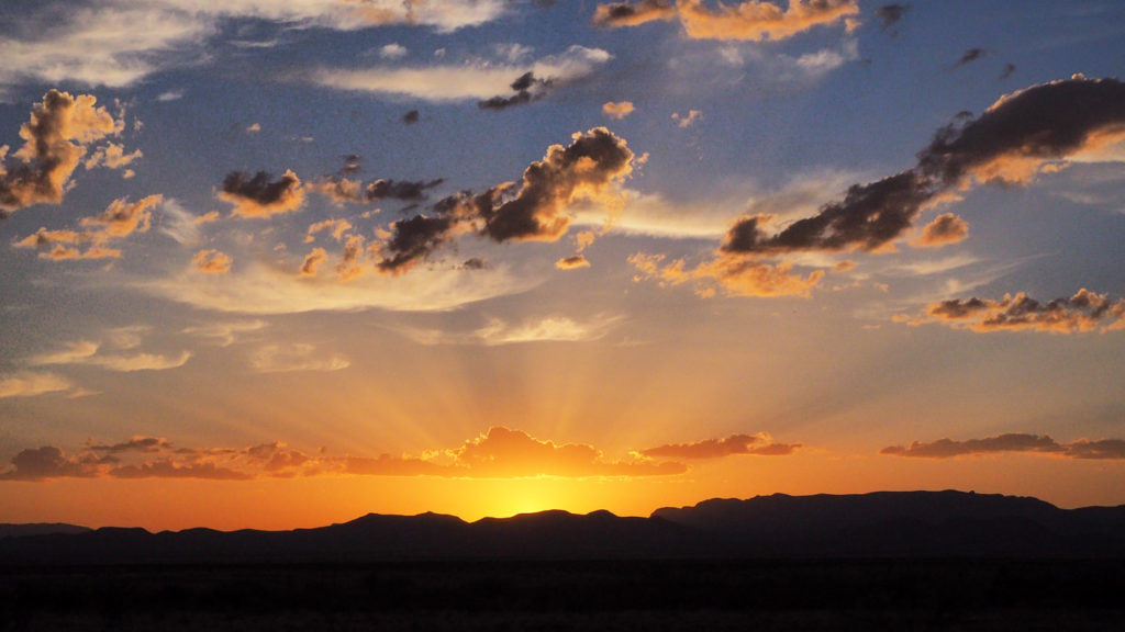 Although it merely blurs from other lights —Rowan Ricardo Phillips