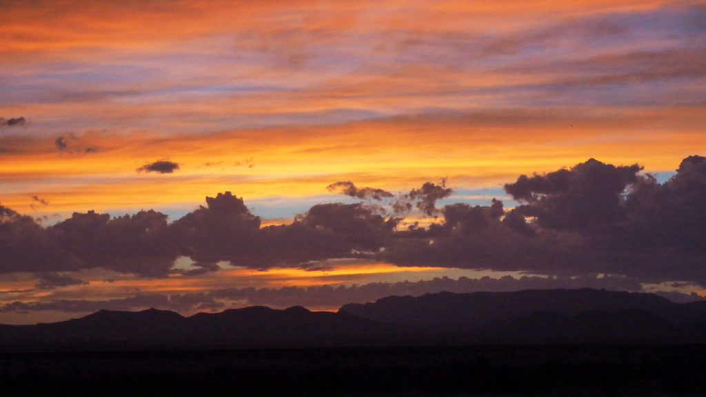 but I wouldn’t leave this world to look for it. —William Bronk