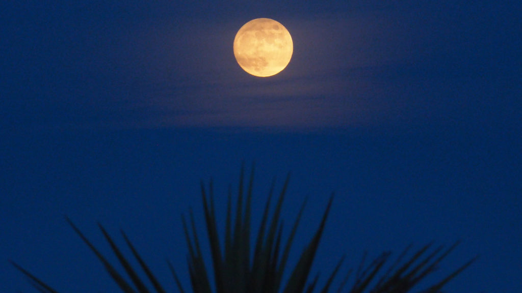 Unclasp it like jewels, the gold