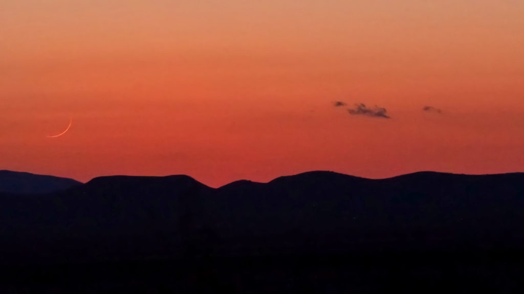 of the odor of jasmine and honeysuckle, —Jorge Luis Borges, translated by Norman Thomas di Giovanni