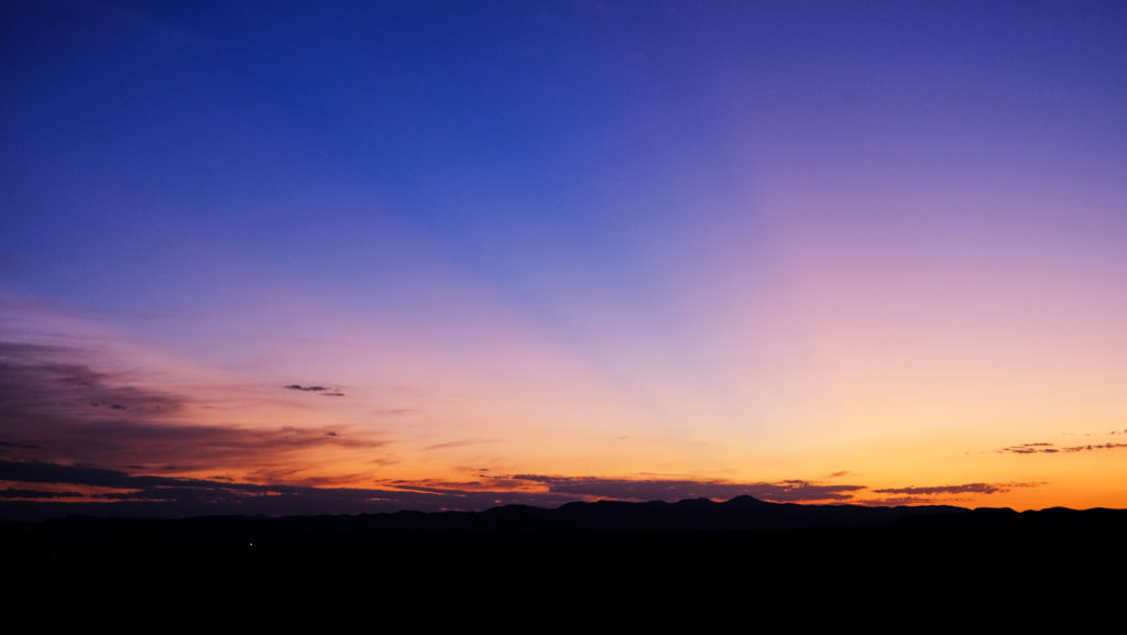 And there is nothing to understand. —Fernando Pessoa, translated by Margaret Jull Costa and Patricio Ferrari