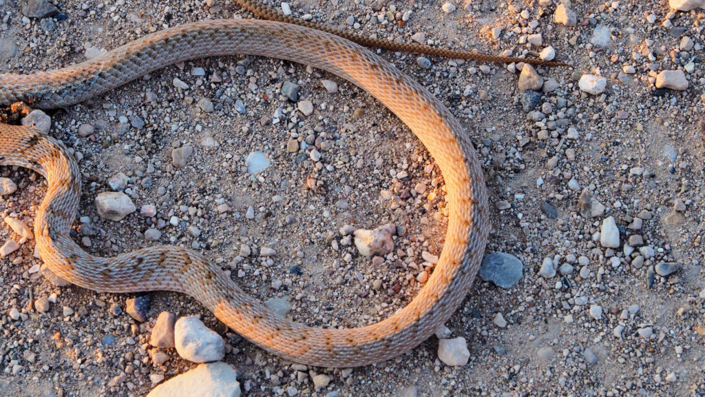 into the world daily. Little sadness