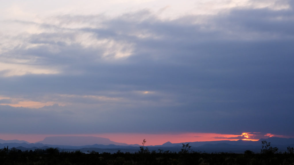 you could dress this wound