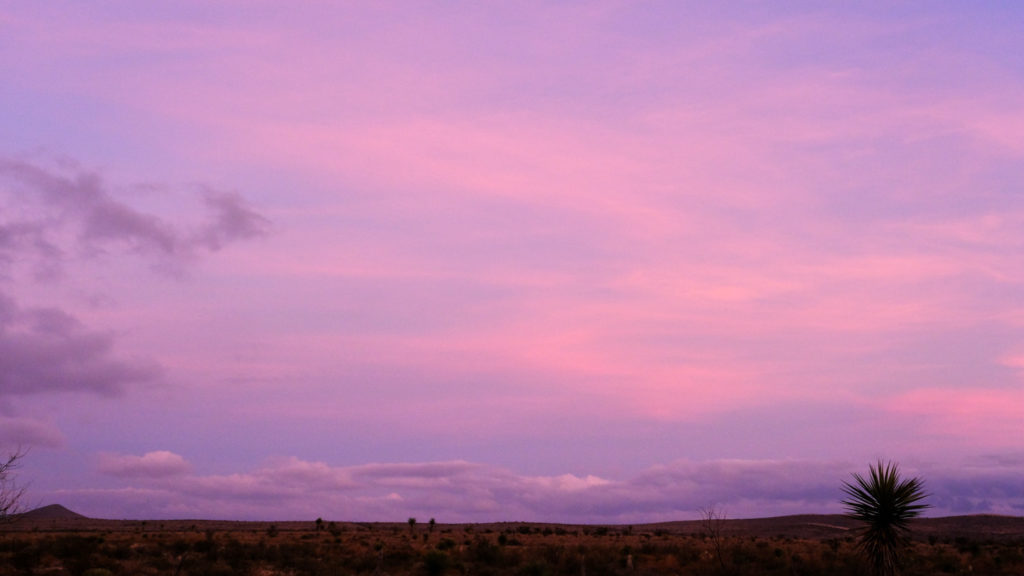 by what shines from it.