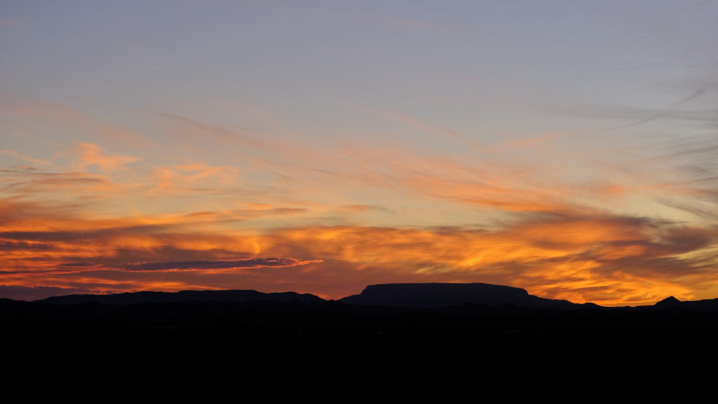 with our mouths full of food to look at the sky