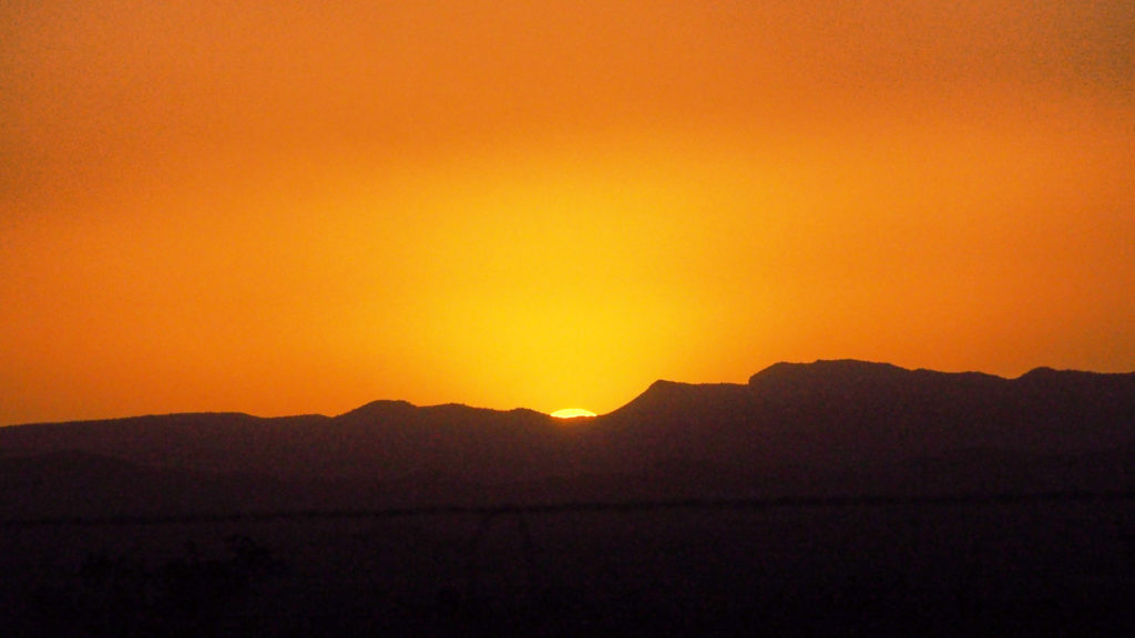 and thus fills my life’s tree