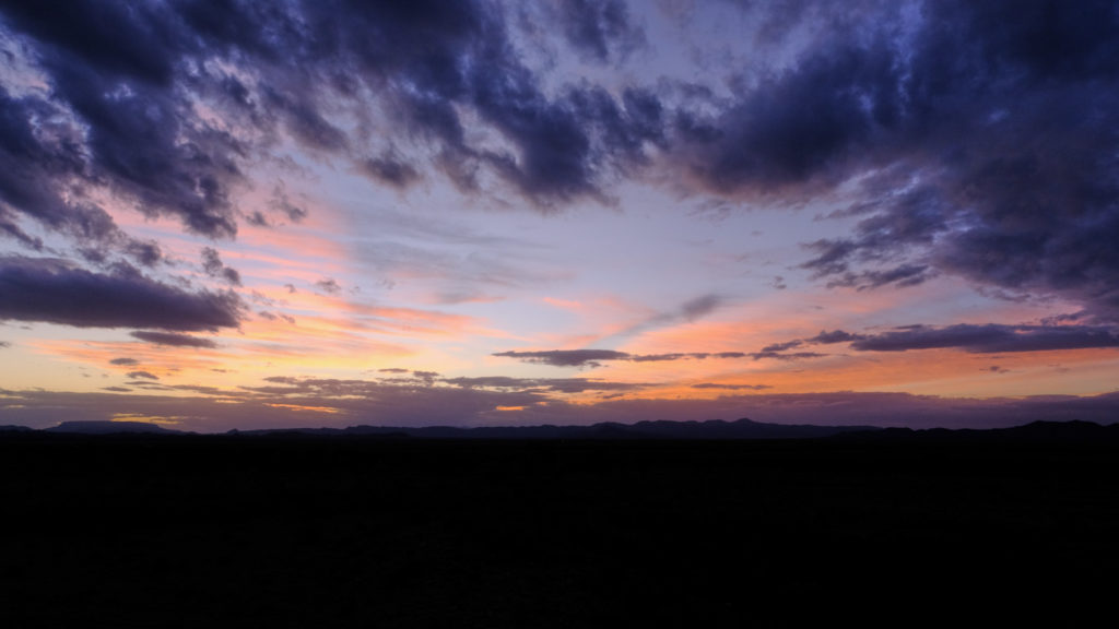 kneeling by the roadside —Anne Carson