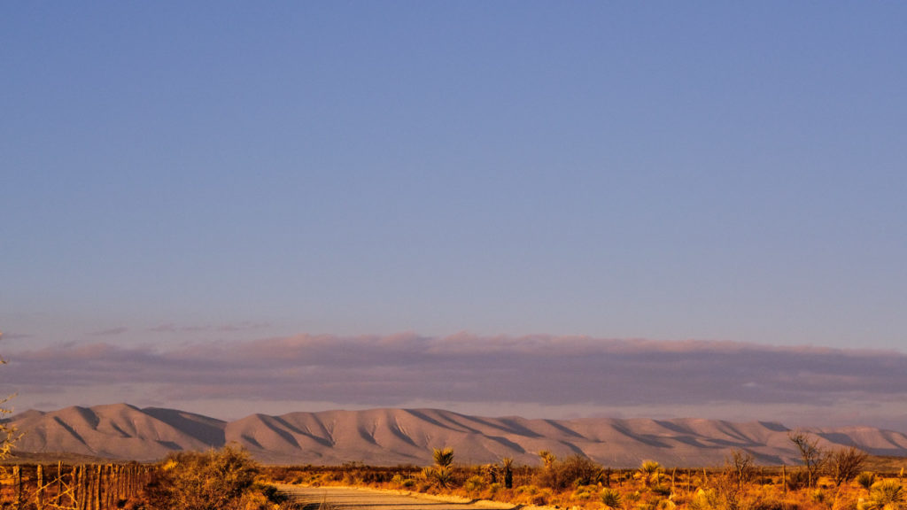 declined in human form, just now making such a fuss