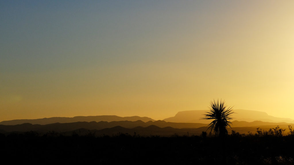 about a blue umbrella left yesterday on a bus. —Wisława Szymborska, translated by Stanilaw Baranczak and Clare Cavanagh